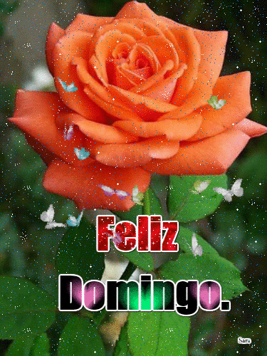 Feliz Domingo amor (1)