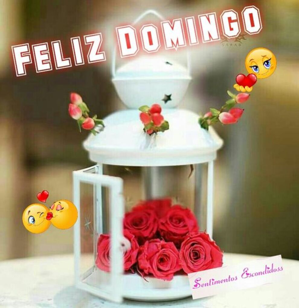 Feliz Domingo amor (2) 2