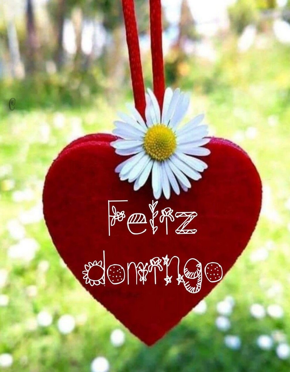 Feliz Domingo amor (4)