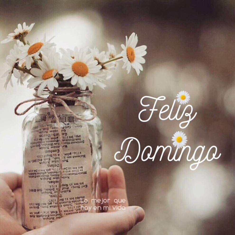 Feliz Domingo con frases positivas 4