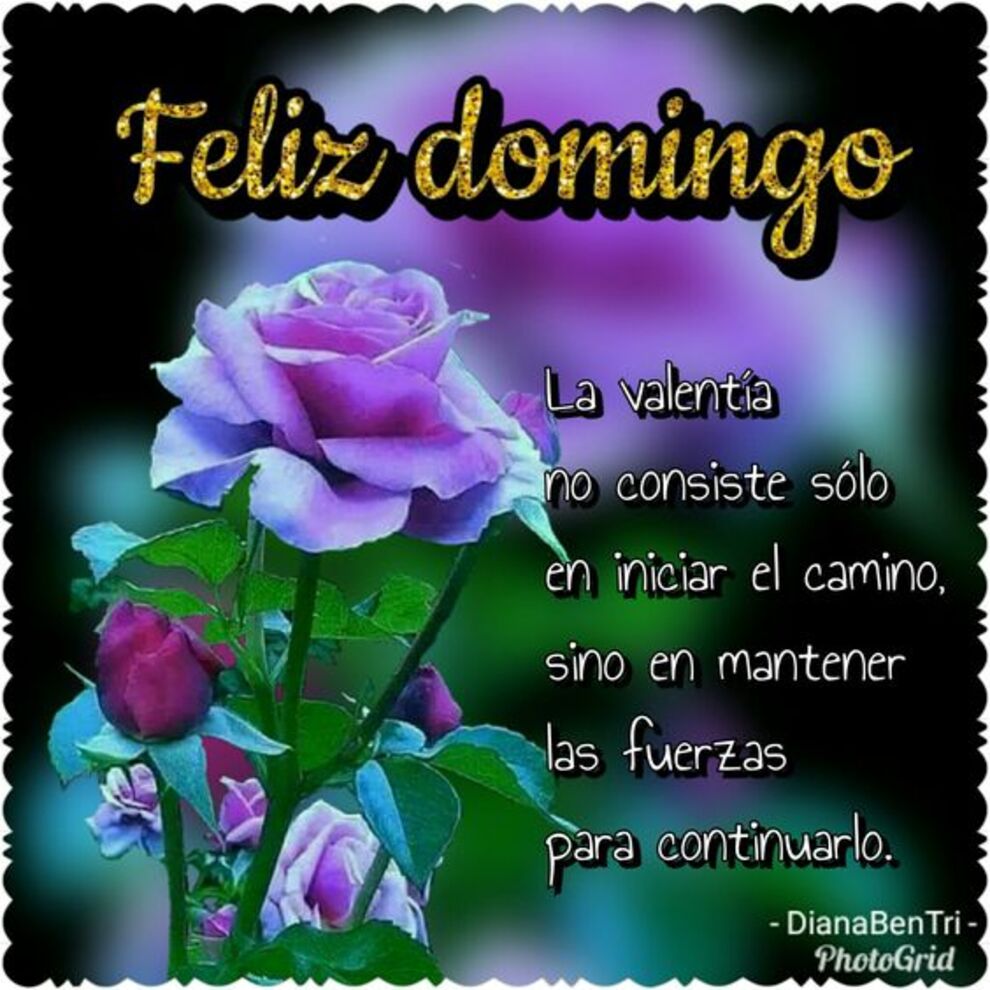 Feliz Domingo con frases positivas 6