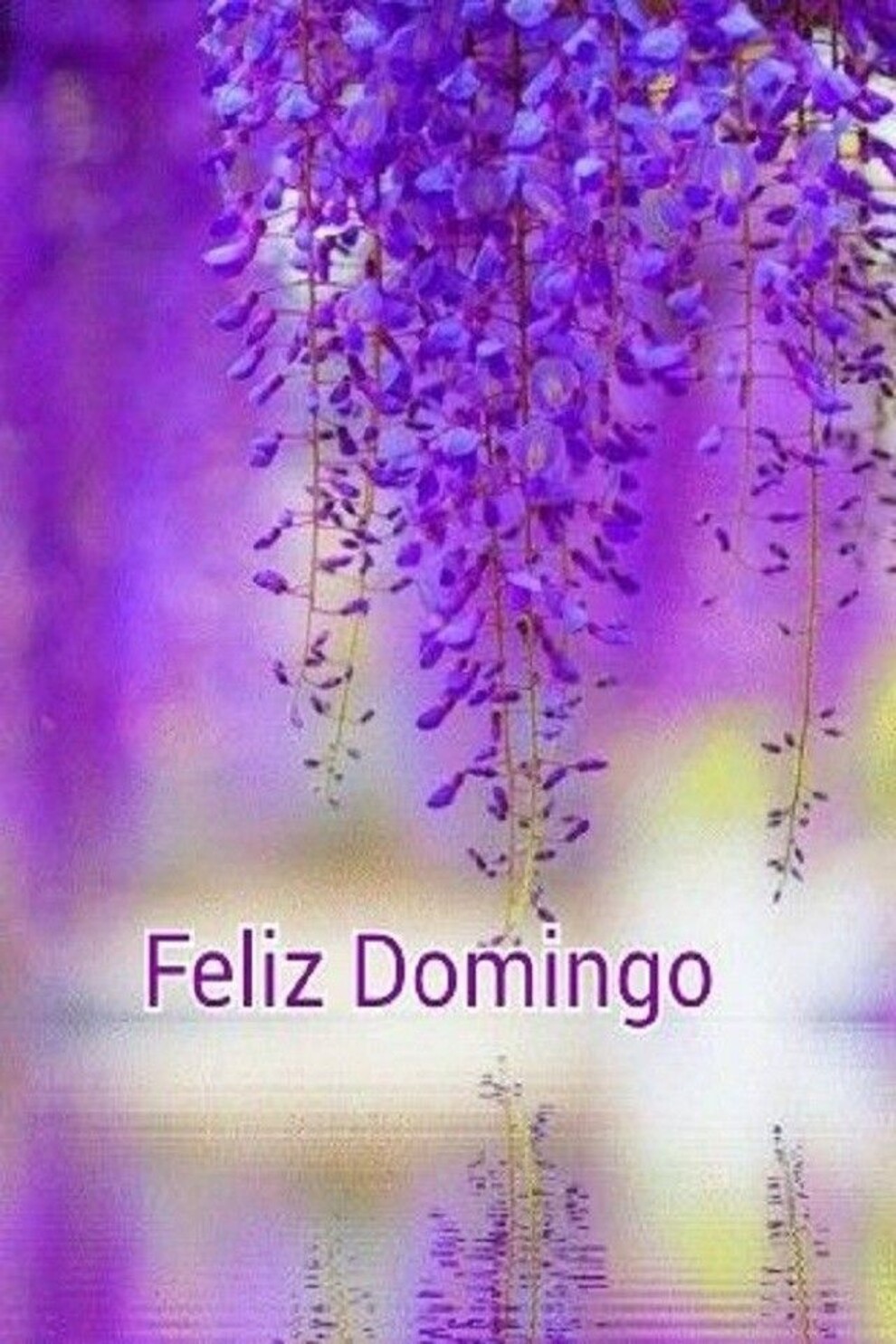 Feliz Domingo con frases positivas 8