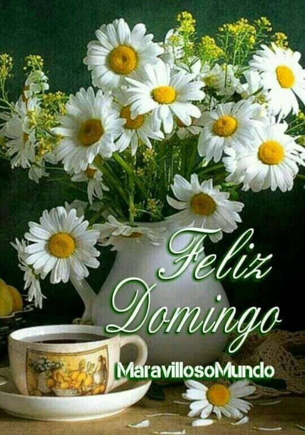 Feliz Domingo para mis amigos del Facebook 2