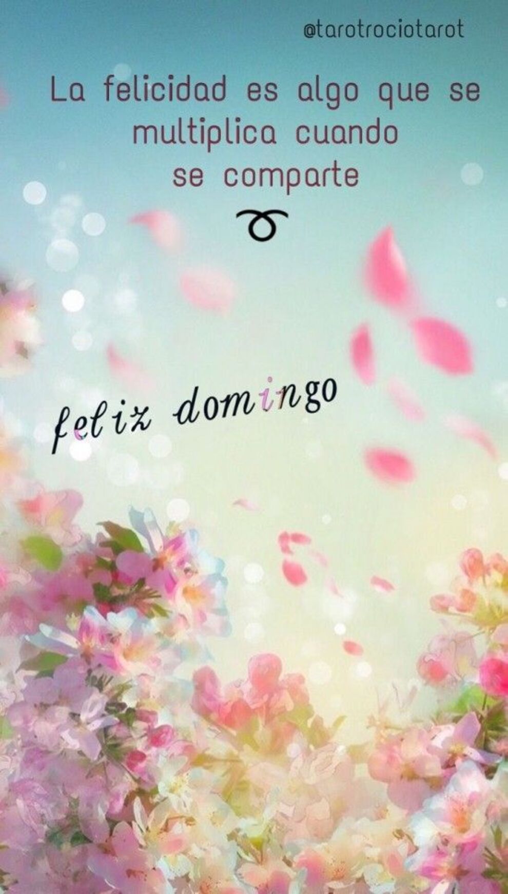 Feliz Domingo para mis amigos del Facebook 3