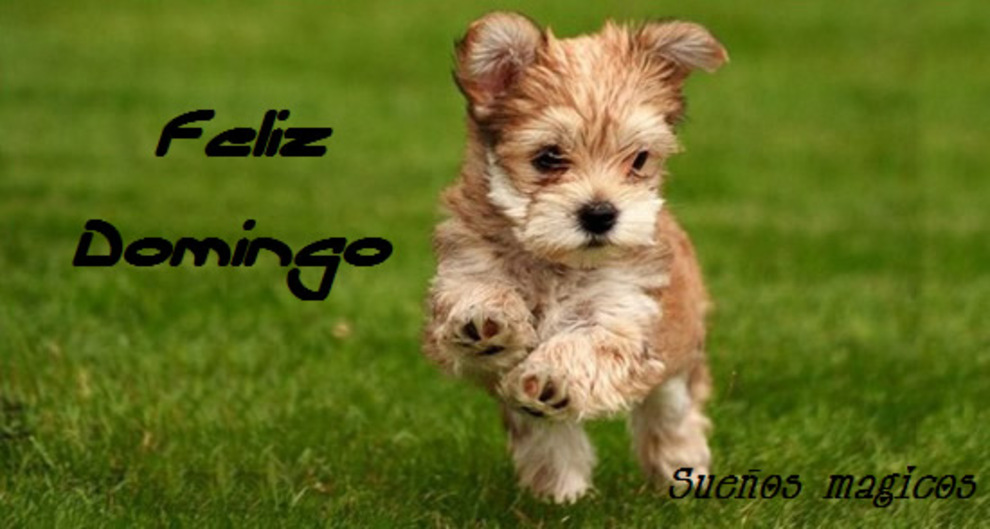Feliz Domingo para mis amigos del Facebook 6