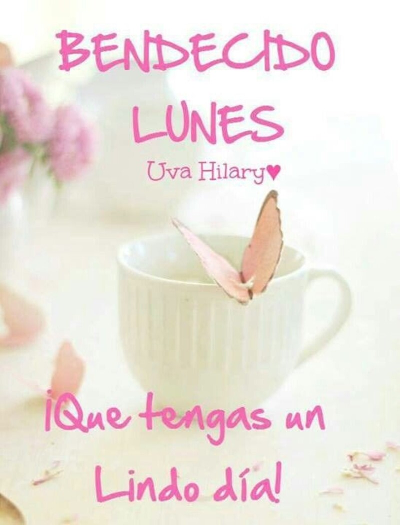 Feliz Lunes 13