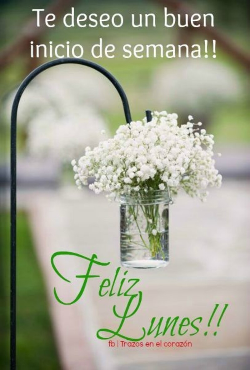 Feliz Lunes feliz inicio de semana 6
