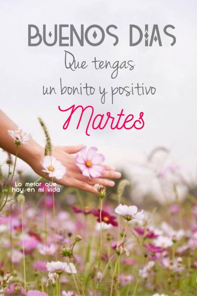 Feliz Martes Dios te bendiga imágenes bonitas 4
