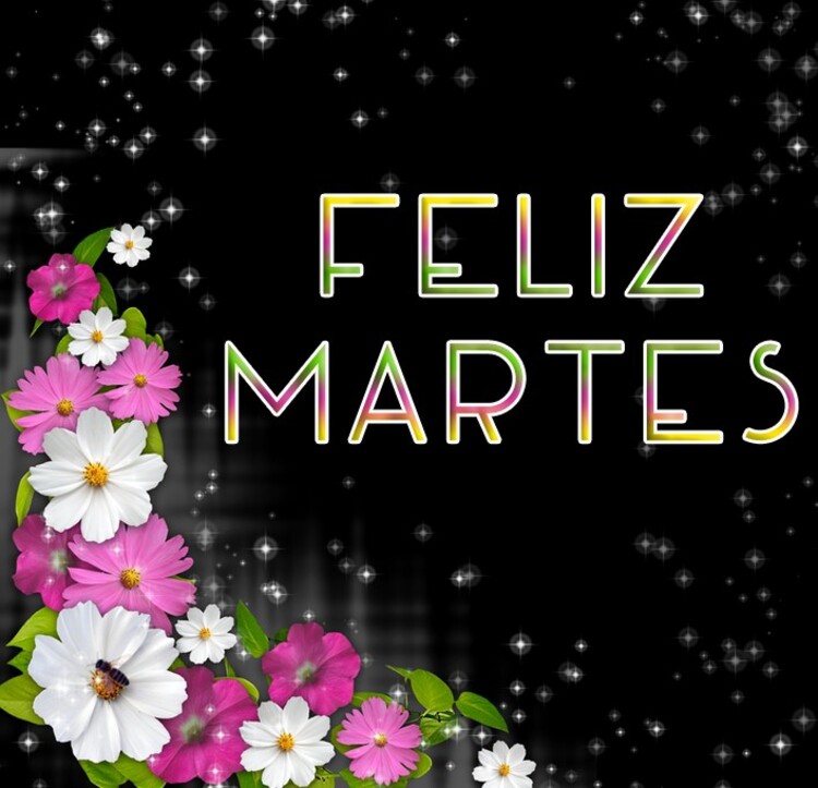 Feliz Martes un abrazo 11