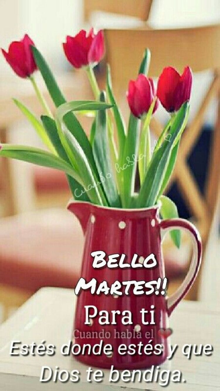 Feliz Martes un abrazo 13