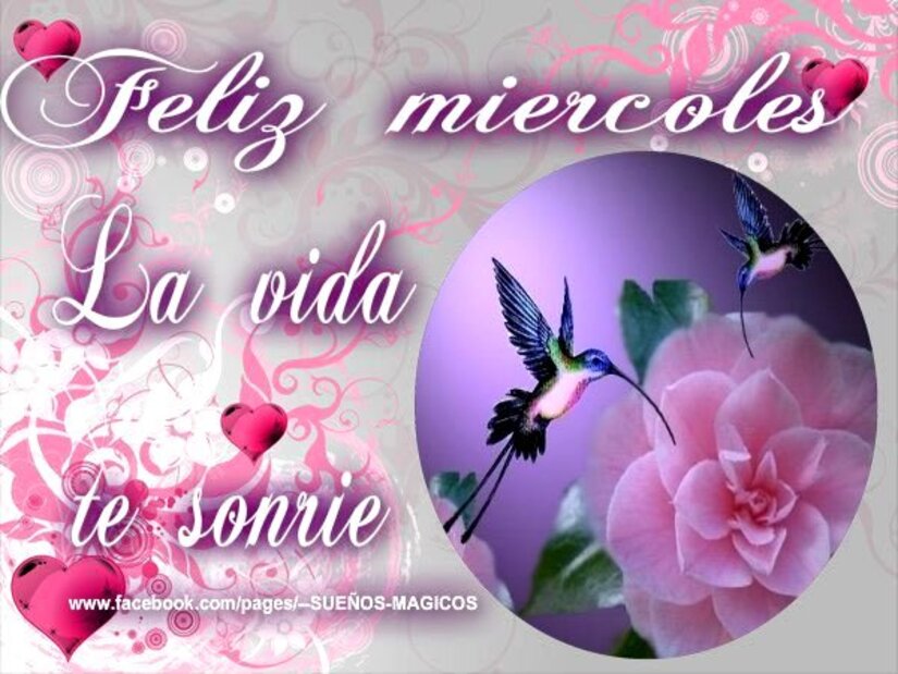 Feliz Miércoles a todos mis amigos de Facebook 8