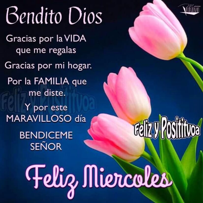 Feliz Miércoles primavera (2)