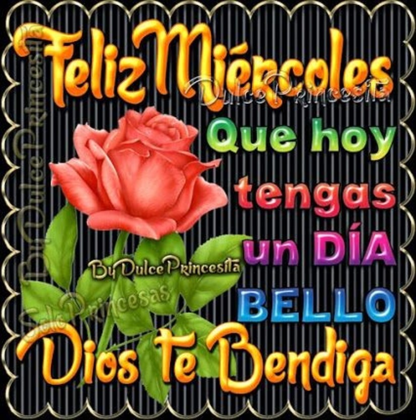Feliz Miércoles que hoy tengas un Día Bello Dios te bendiga