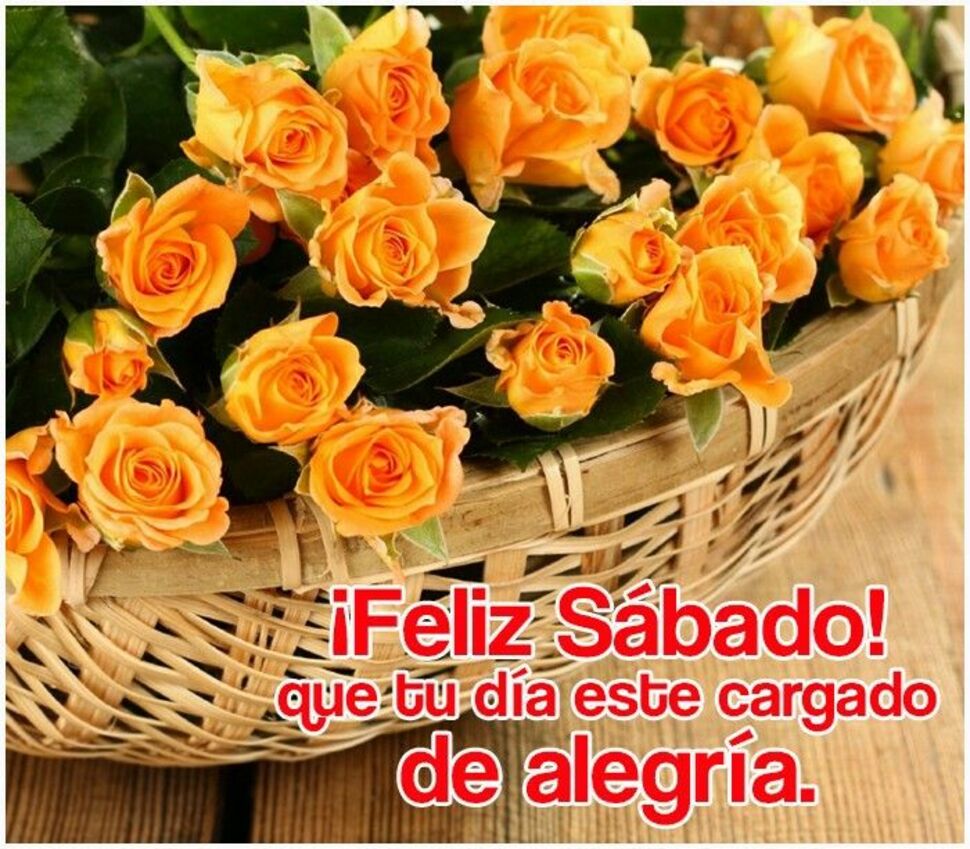 Feliz Sábado 7