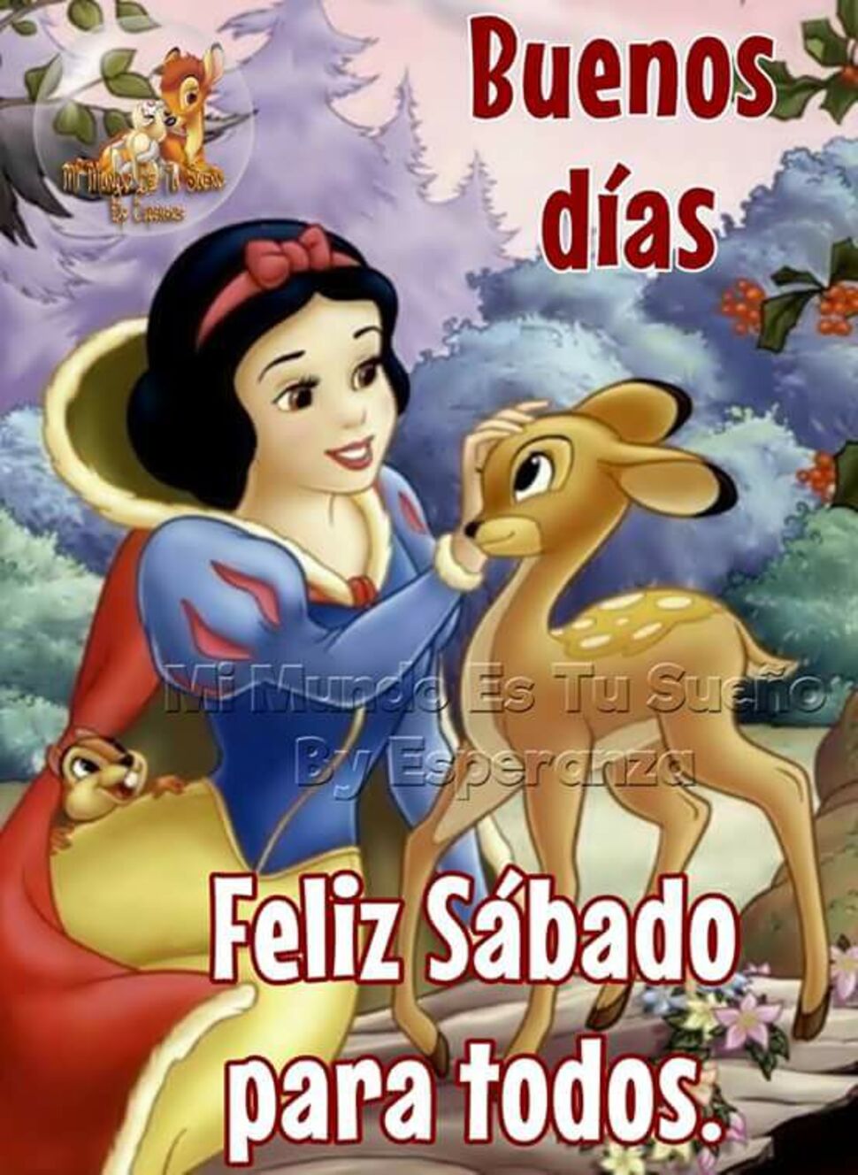 Feliz Sábado 8