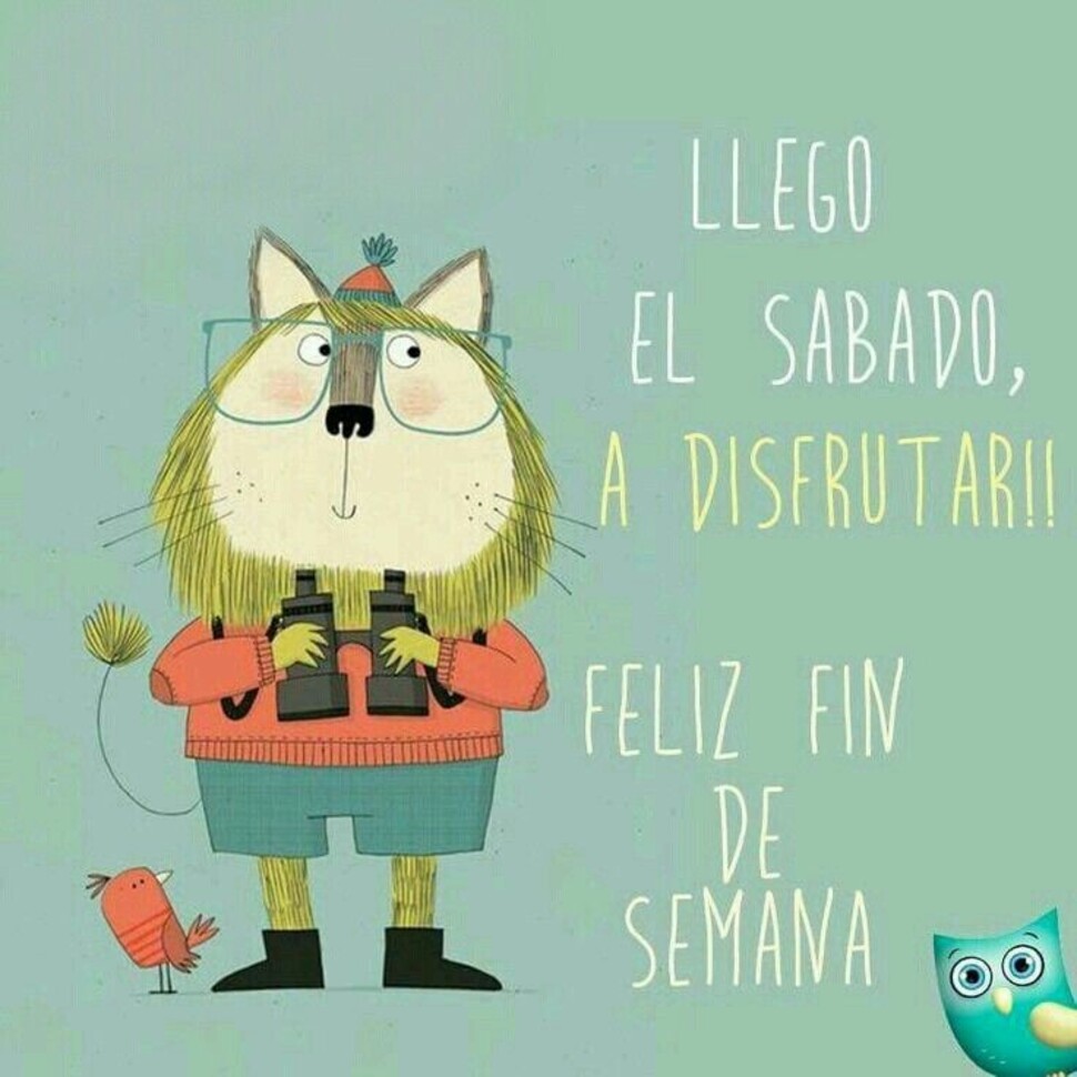 Feliz Sábado 9