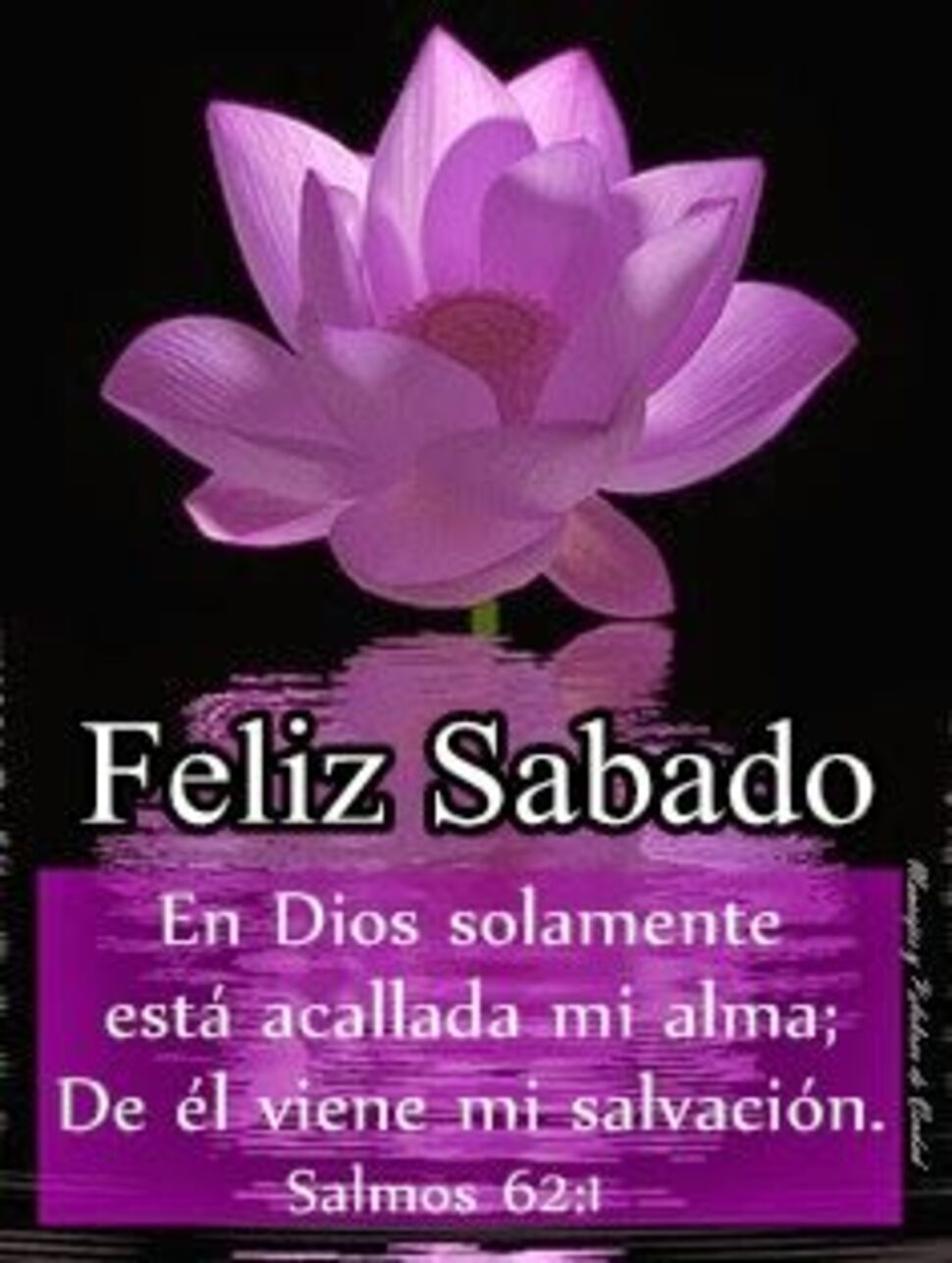 Feliz Sábado Buenos Días Pinterest 2