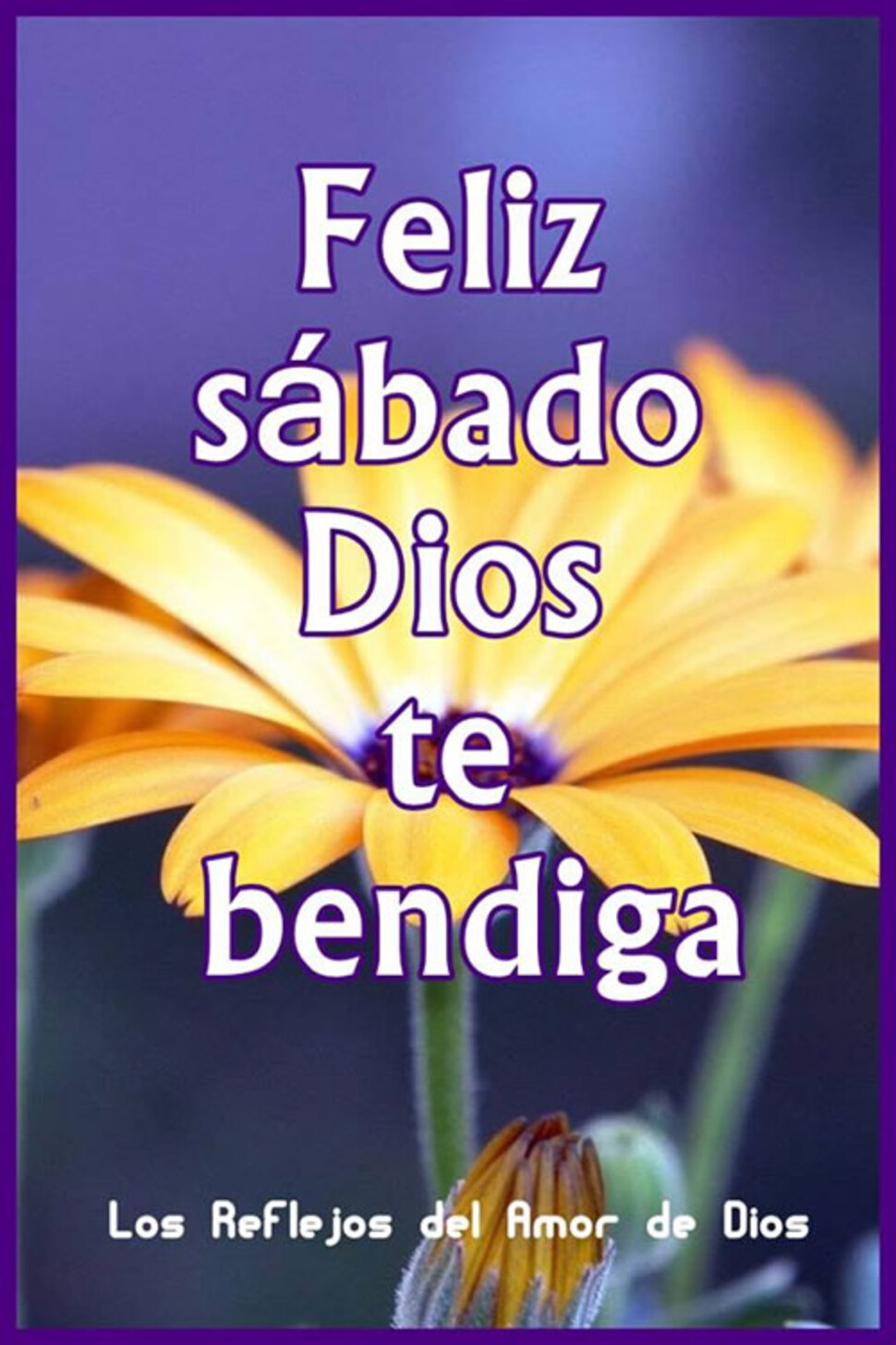 Feliz Sábado Dios te bendiga