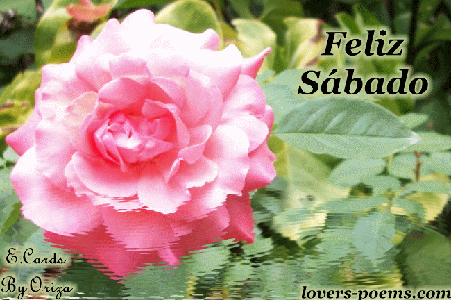 Feliz Sábado GIF (8)