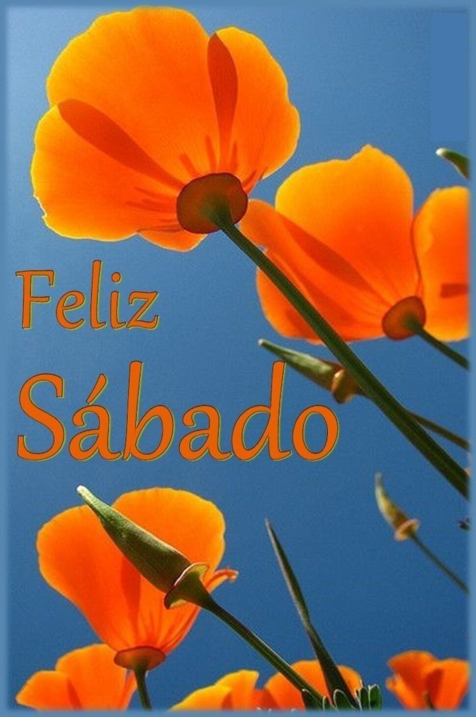 Feliz Sábado imágenes gratis para compartir 4