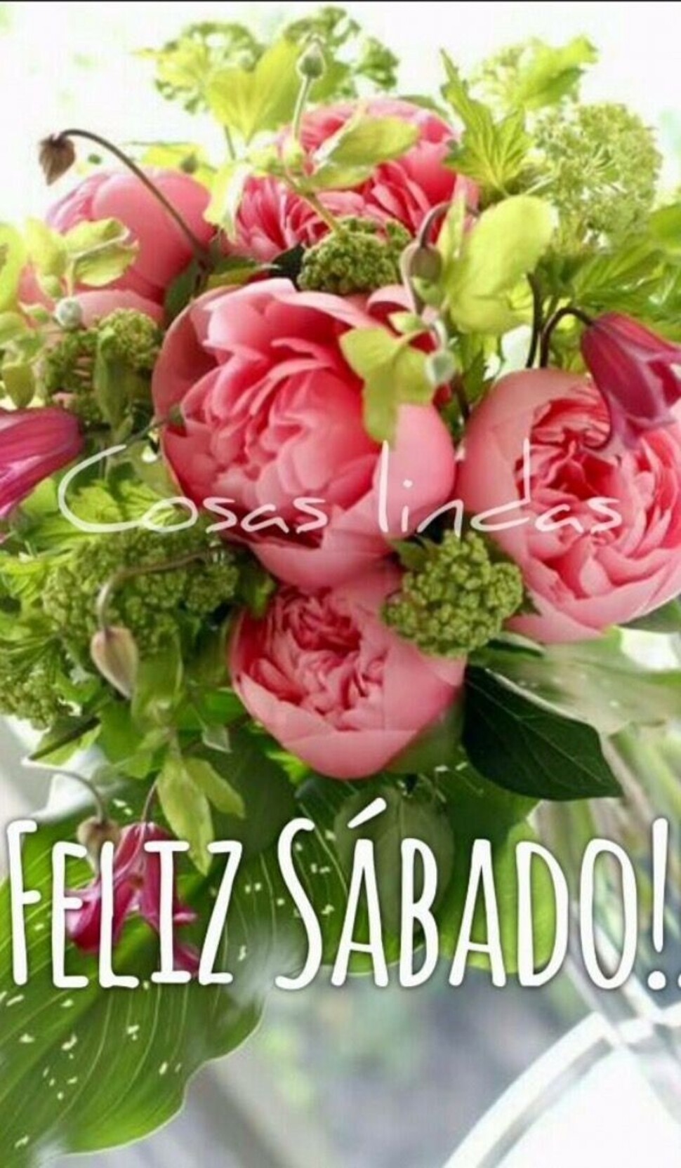 Feliz Sábado imágenes gratis para compartir 9