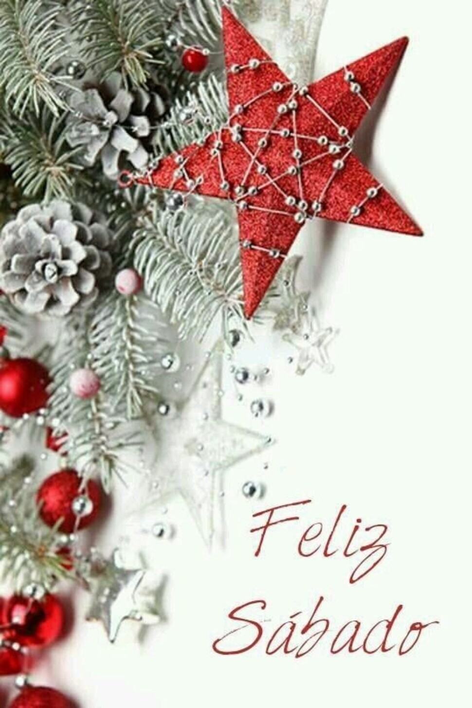 Feliz Sábado imágenes para Navidad (2)