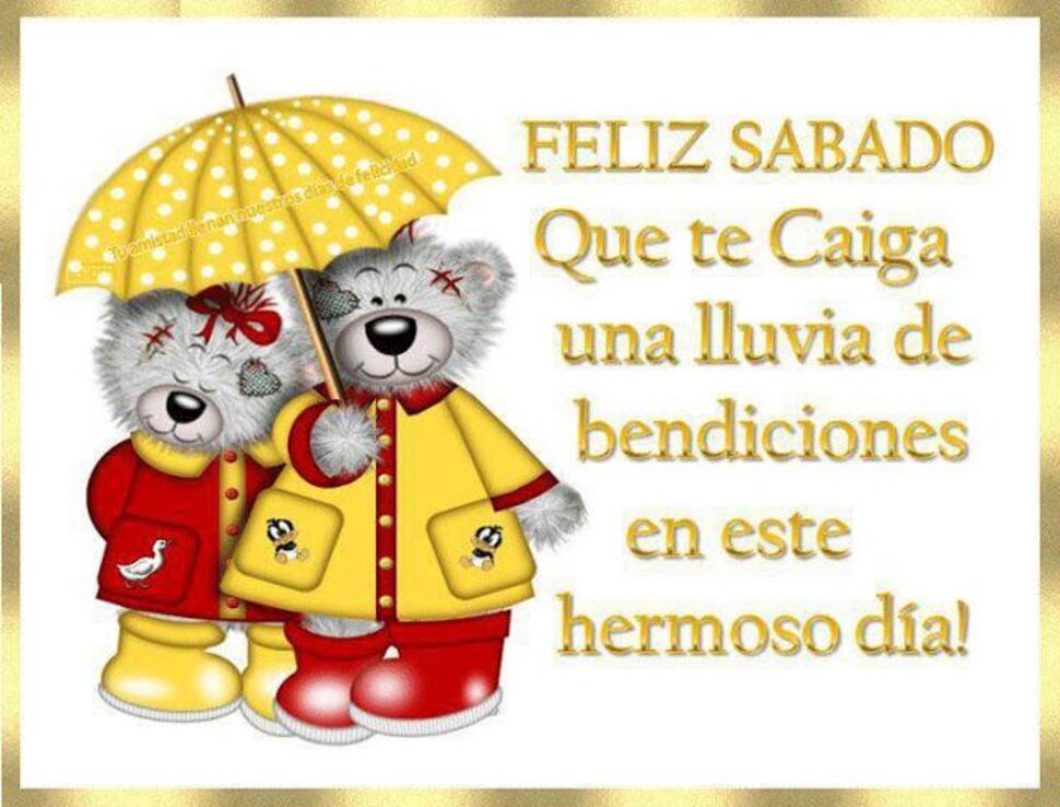 Feliz Sábado lluvioso (2)