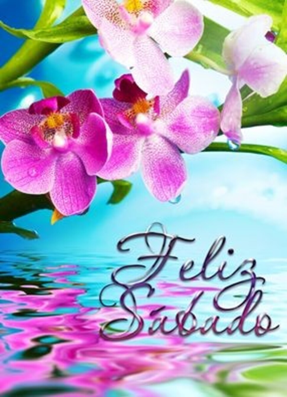 Feliz Sábado primavera (1)