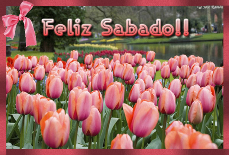 Feliz Sábado primavera (4)