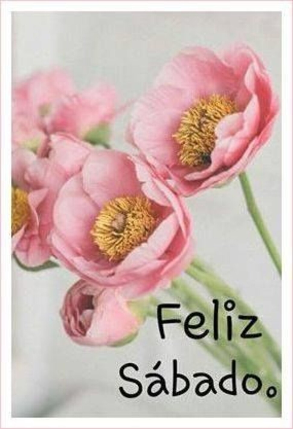 Feliz Sábado primavera (5)