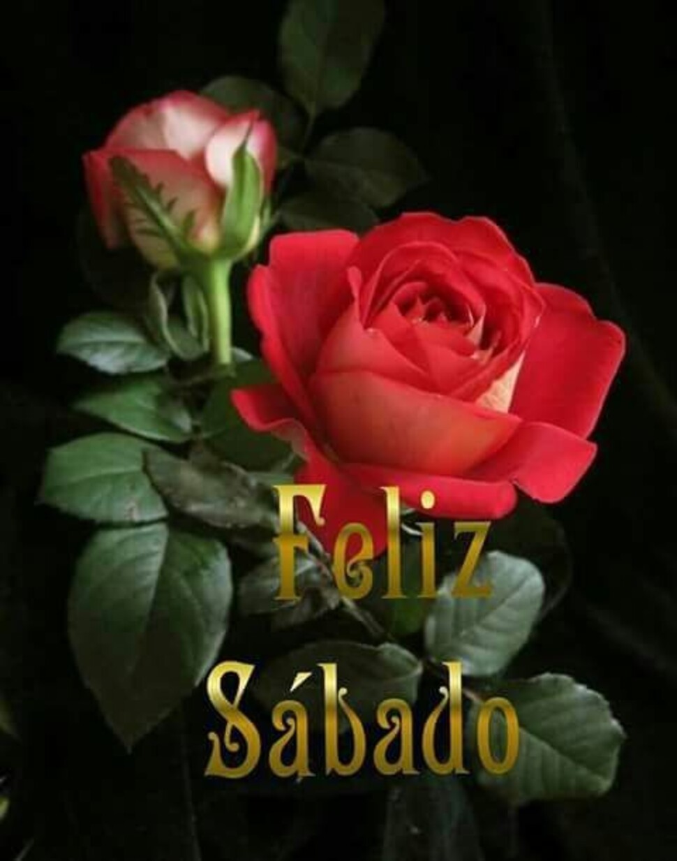 Feliz Sábado te quiero mi amor (2)