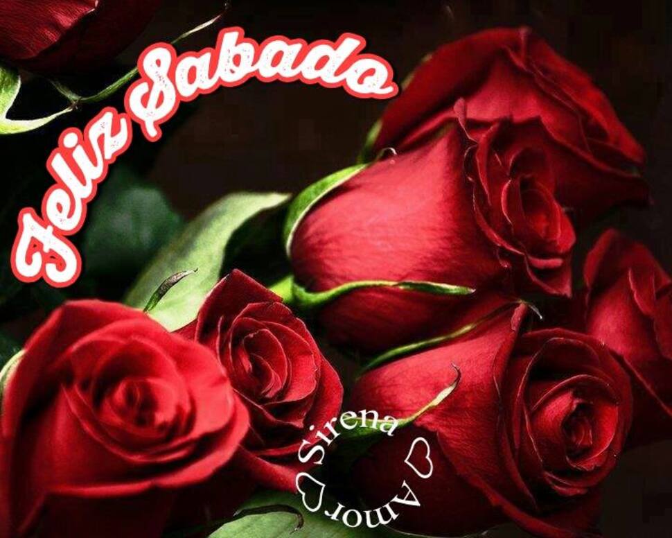 Feliz Sábado te quiero mi amor (6)