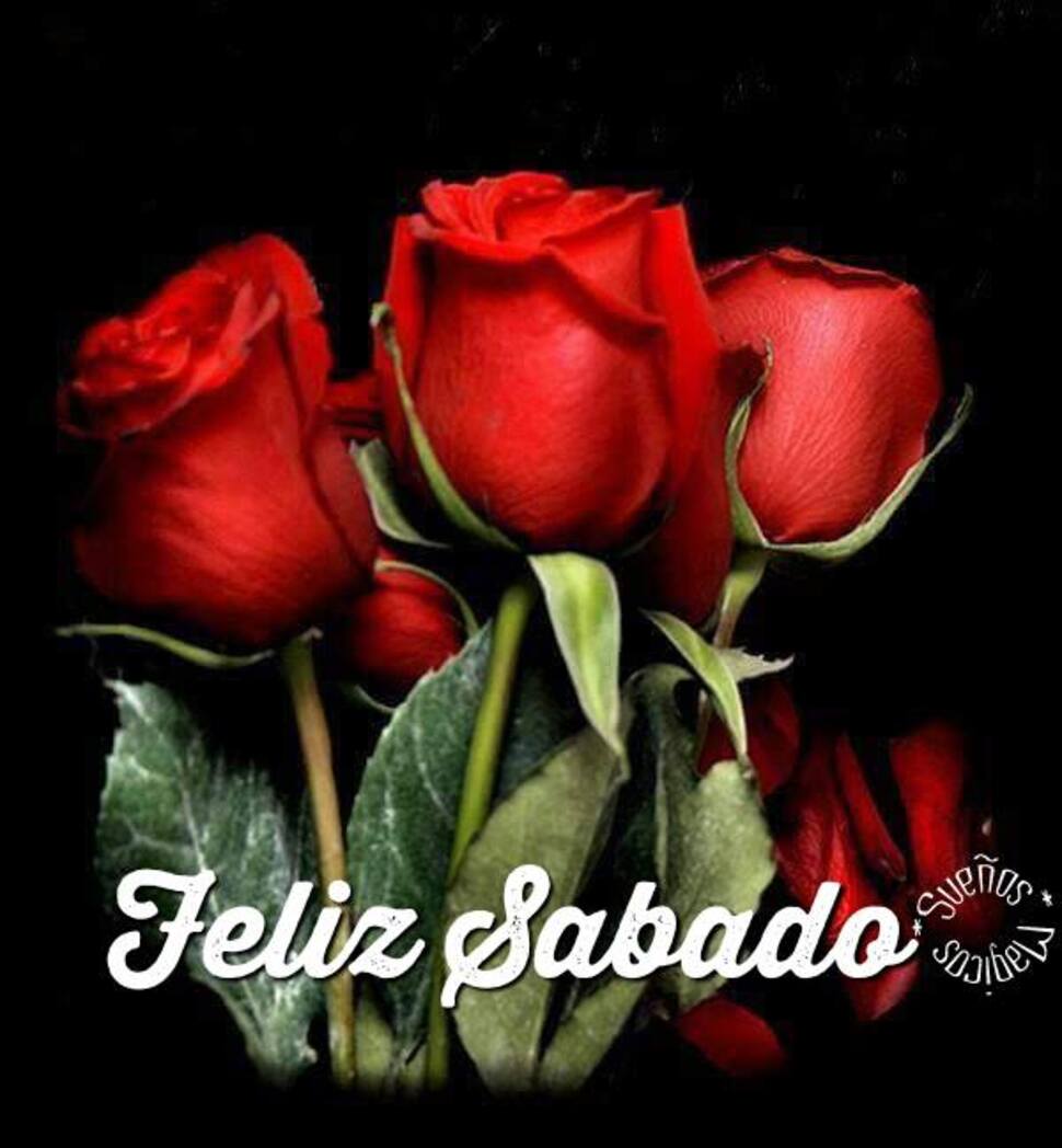 Feliz Sábado te quiero mi amor (8)