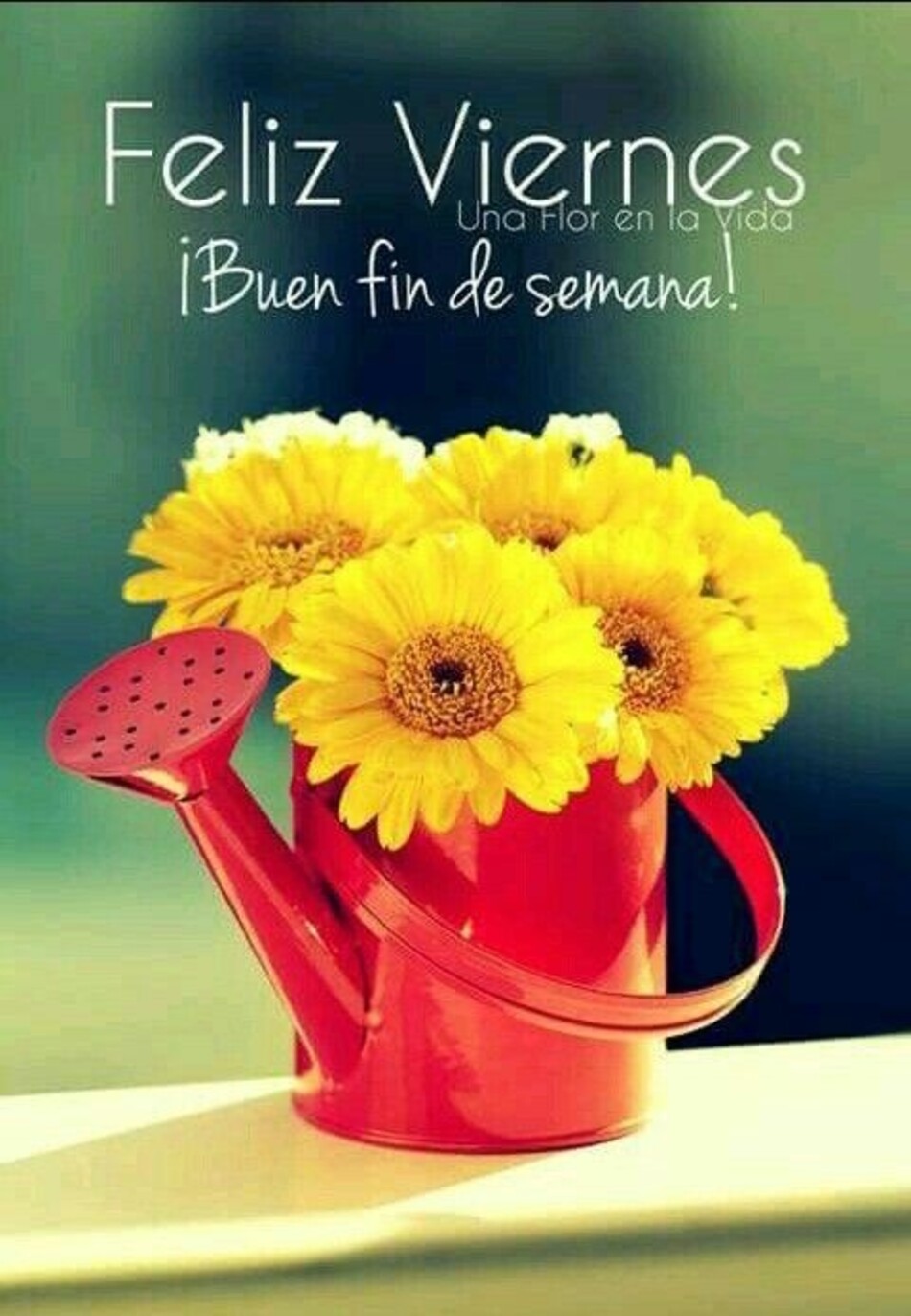 Feliz Viernes imágenes con flores para Facebook (5)