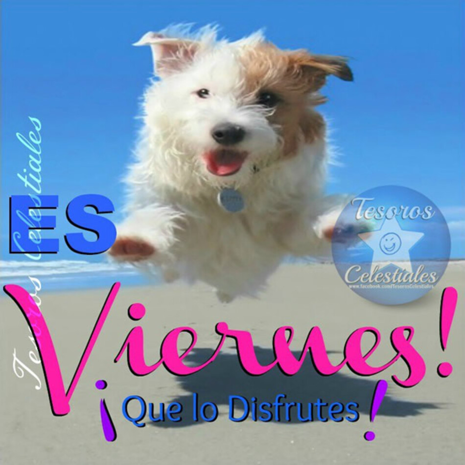 Feliz Viernes verano