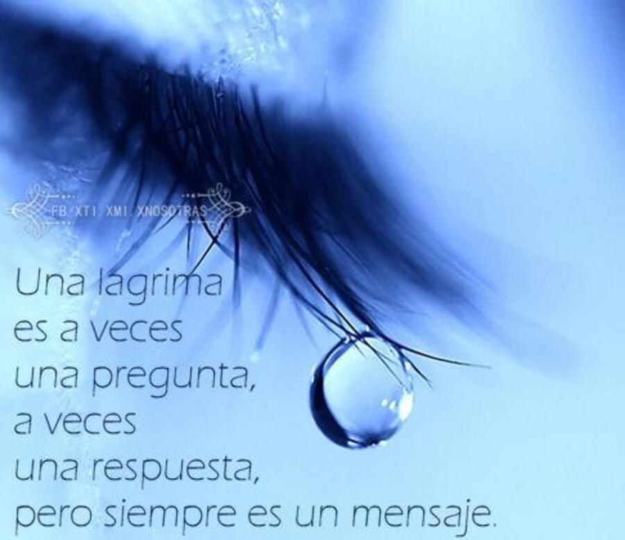 Frases bellas para descargar gratis 15