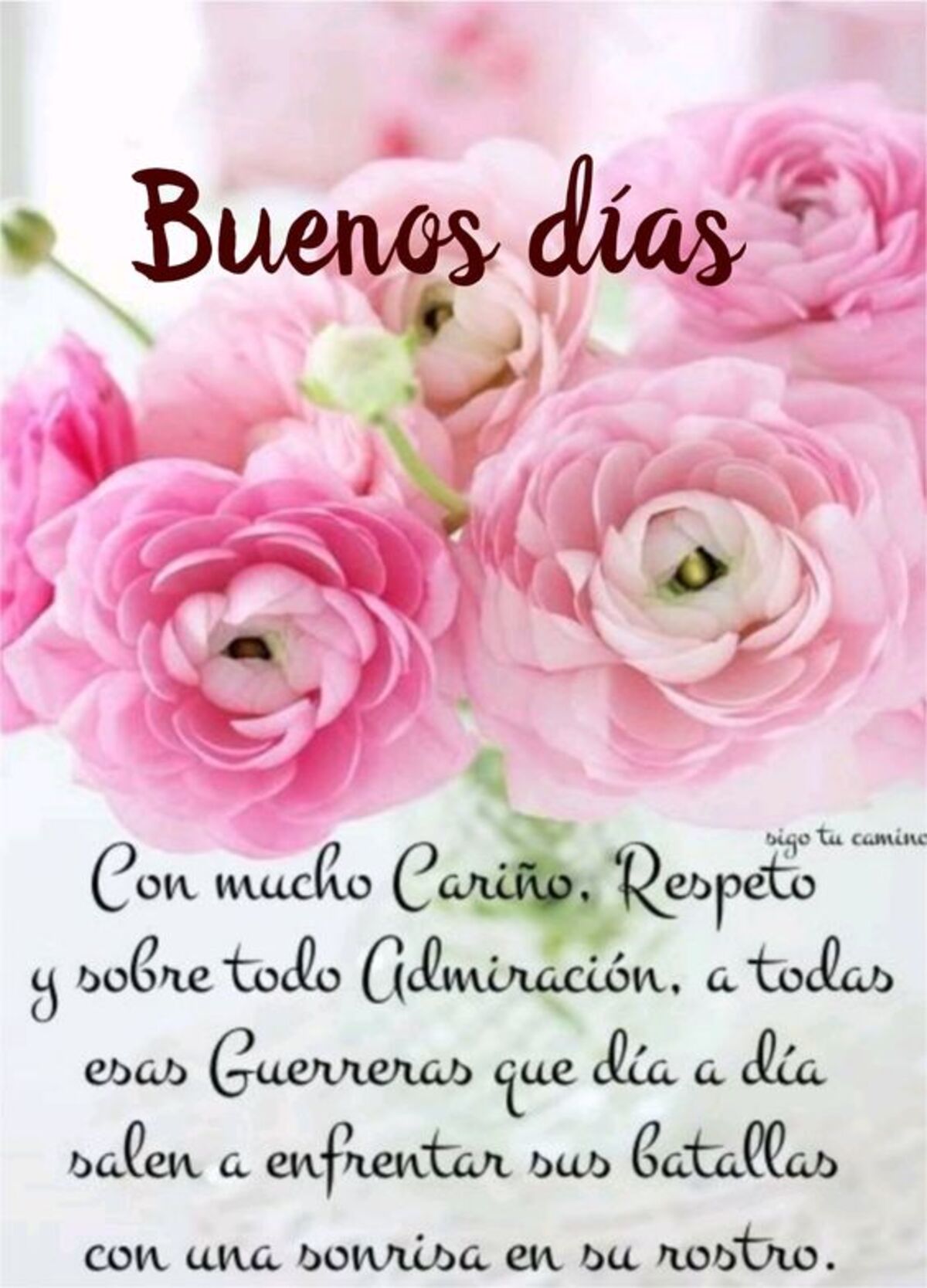 Frases de Buenos Días (3)