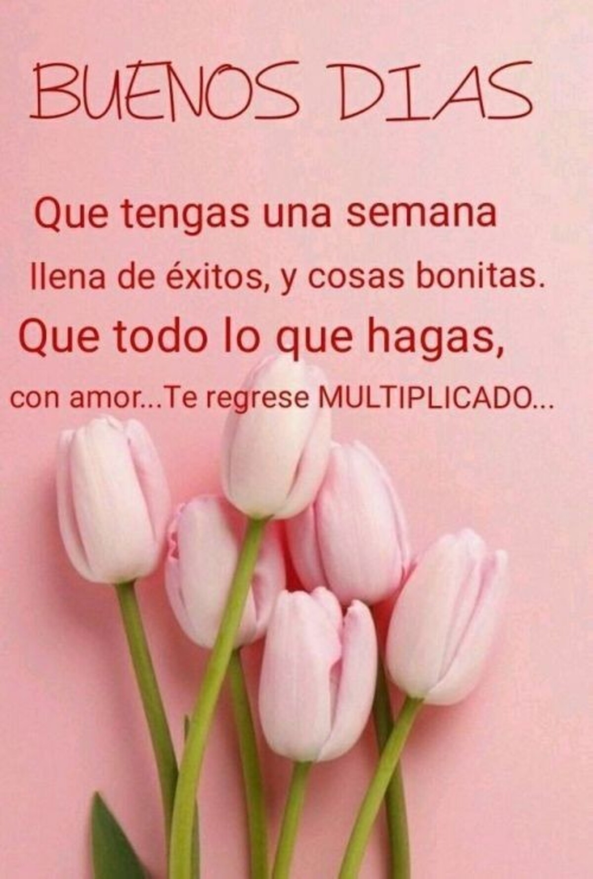 Frases de Buenos Días (8)