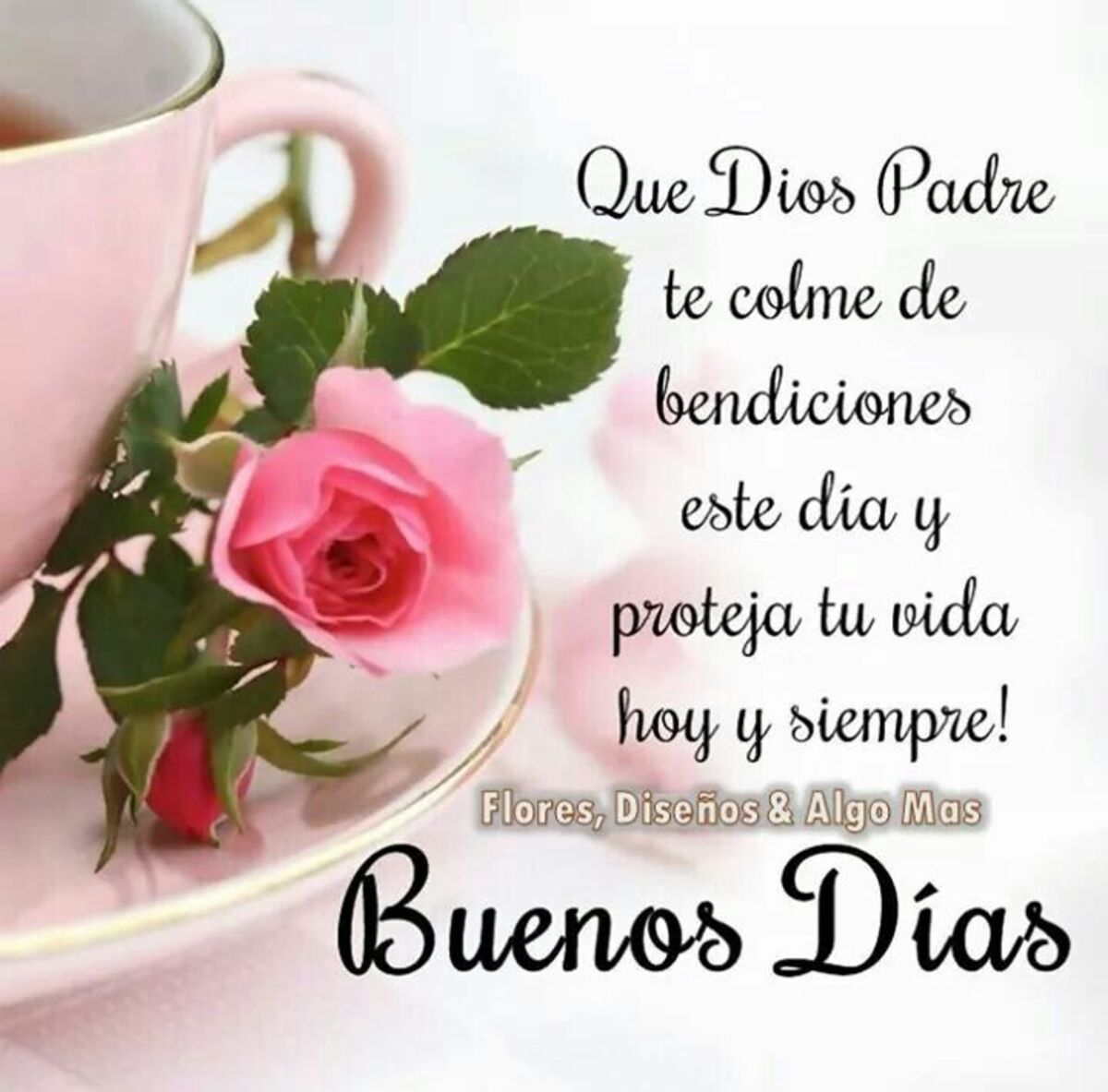 Frases y imágenes de Buenos Días para FB 1