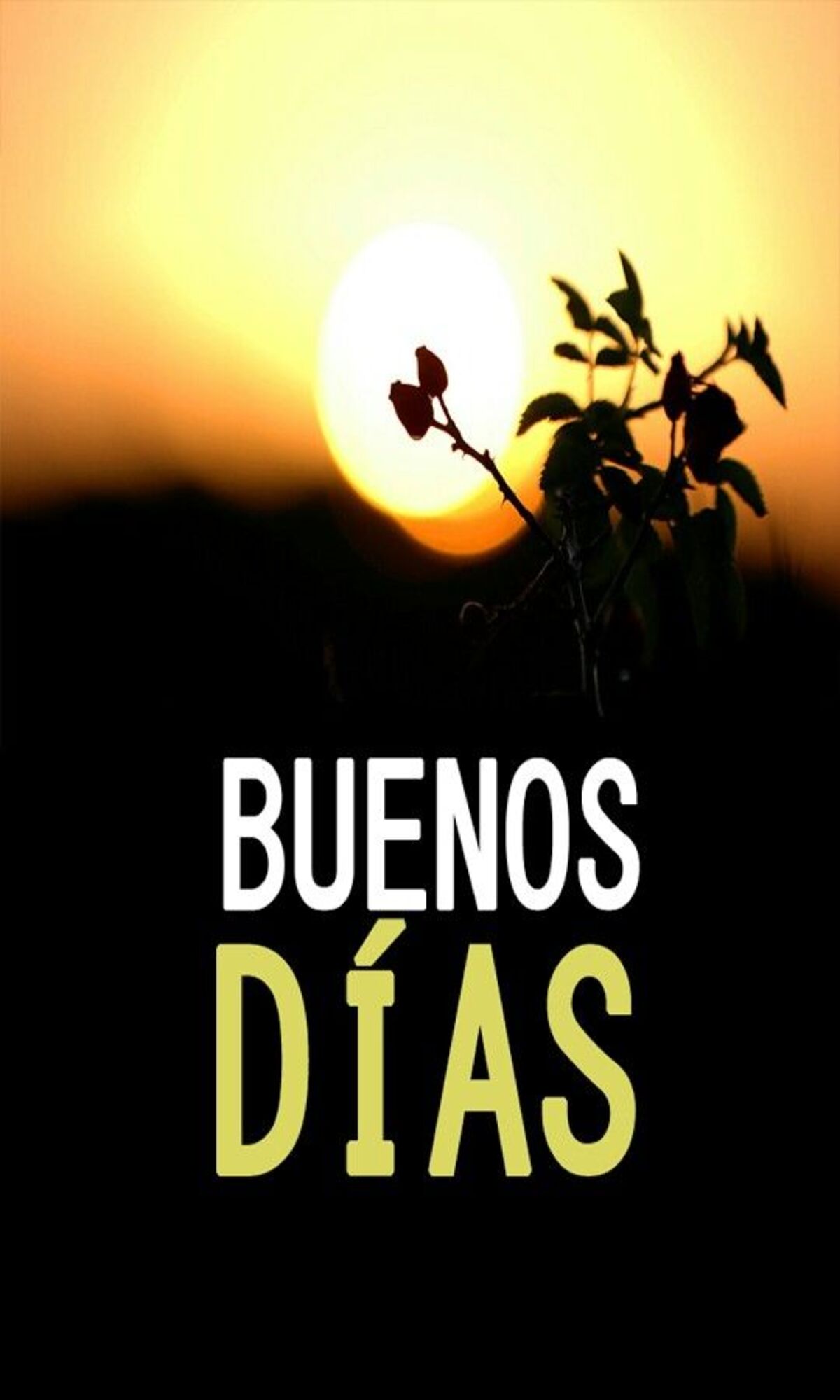 Frases y imágenes de Buenos Días para FB 12