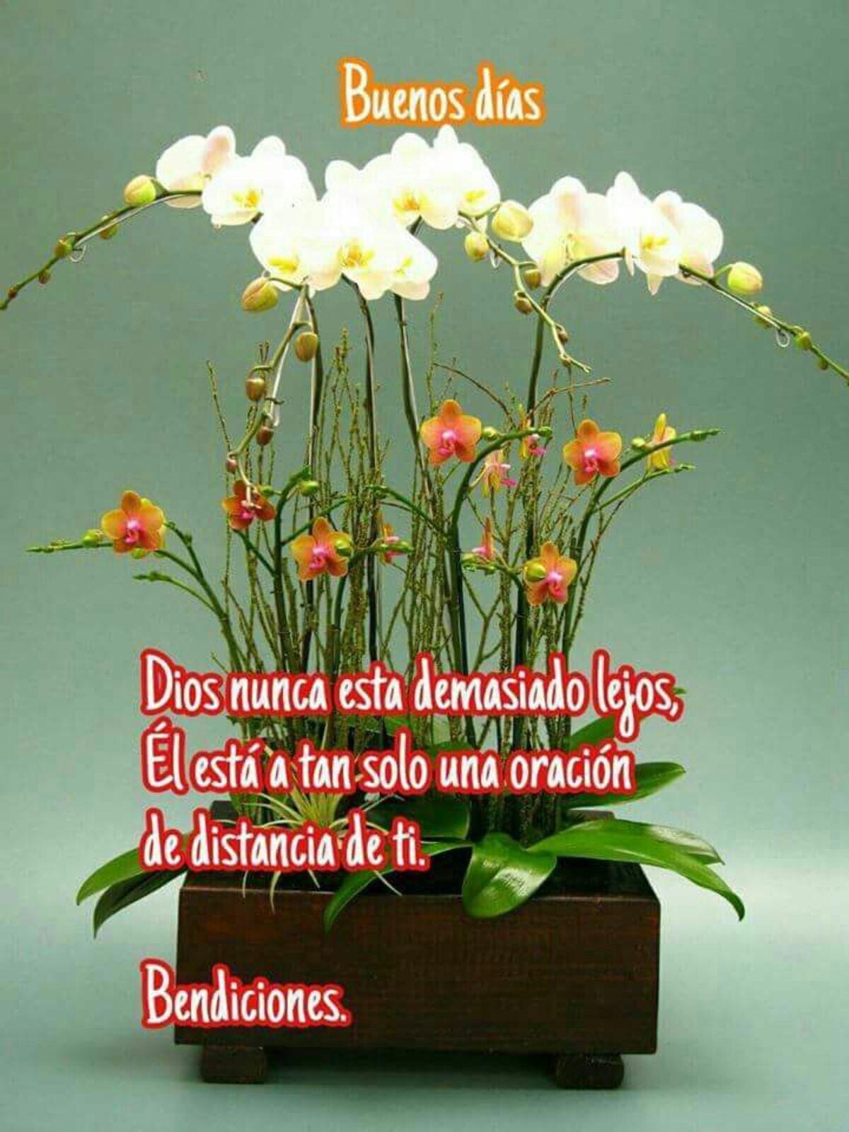 Frases y imágenes de Buenos Días para FB 5