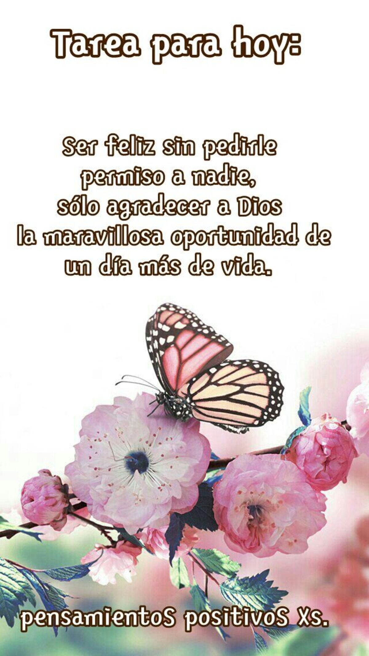 Frases y imágenes de Buenos Días para FB 7