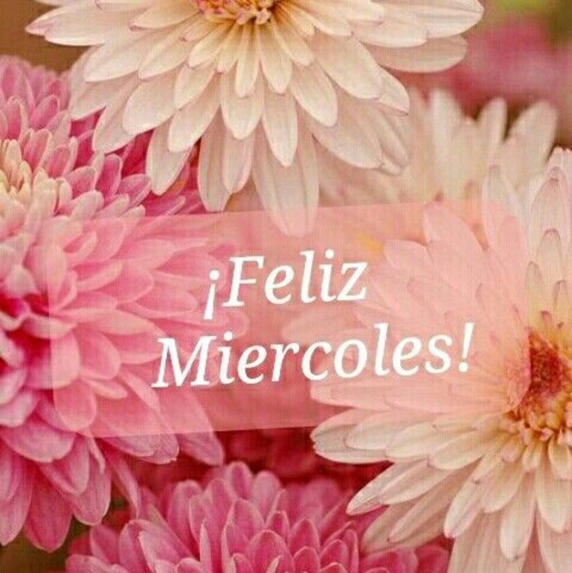 Frases y imágenes hermosas para Feliz Miércoles Pinterest 3
