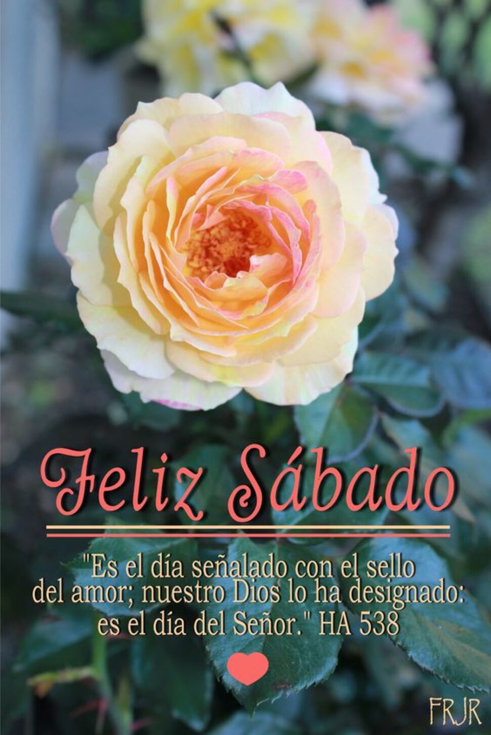 Frases y postales de Feliz Sábado por tus amigos 10