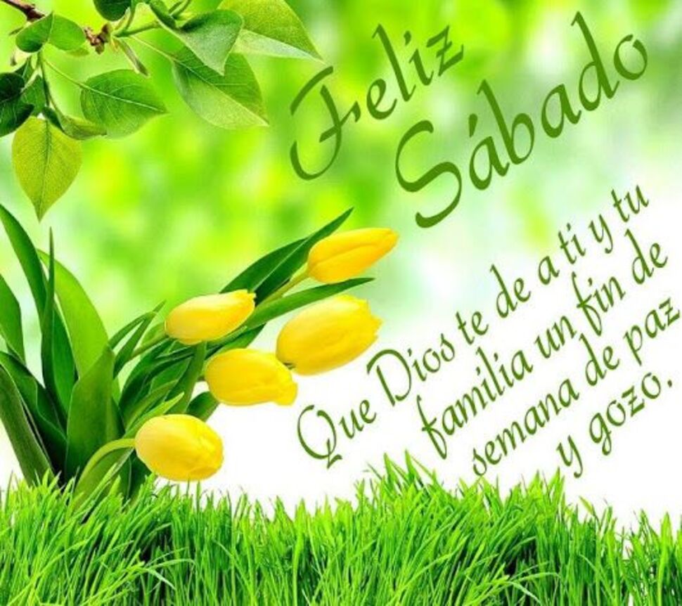 Frases y postales de Feliz Sábado por tus amigos 11