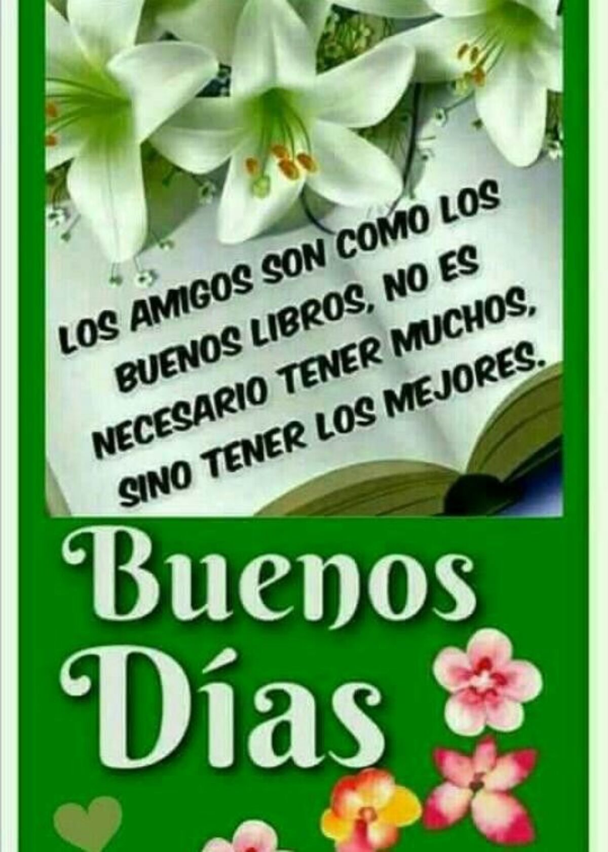 Hermosas imágenes de Buenos Días 11