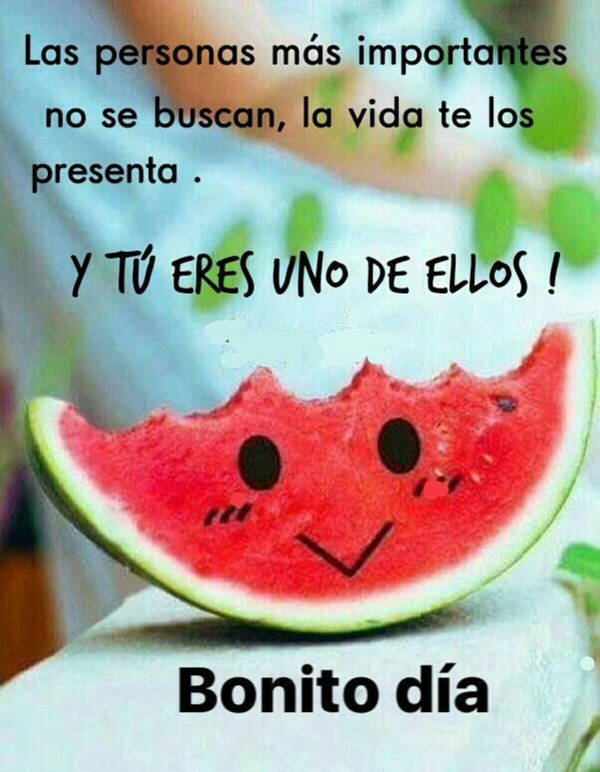 Hermosas imágenes de Buenos Días 5