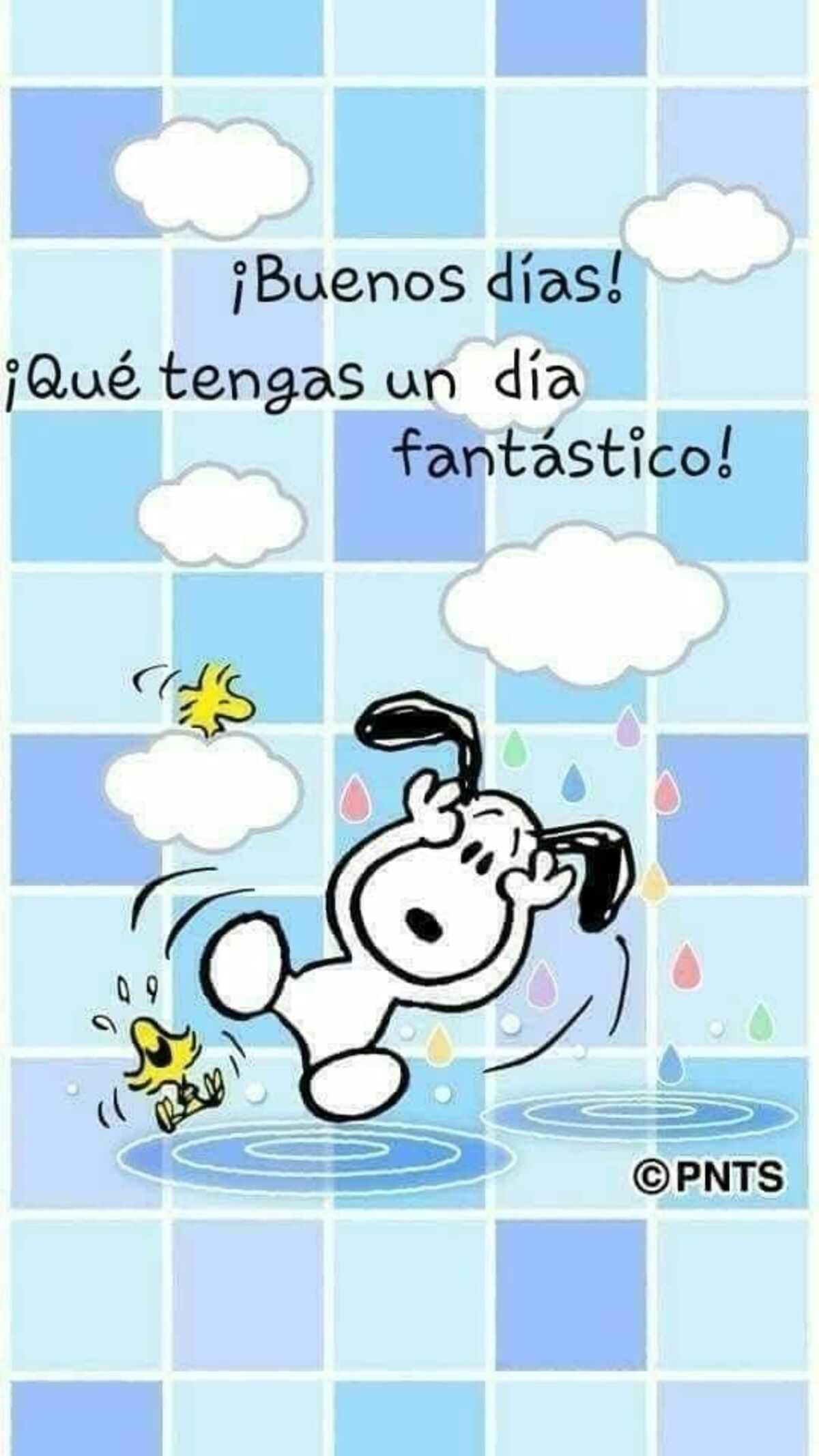 Hermosas imágenes de Buenos Días 7