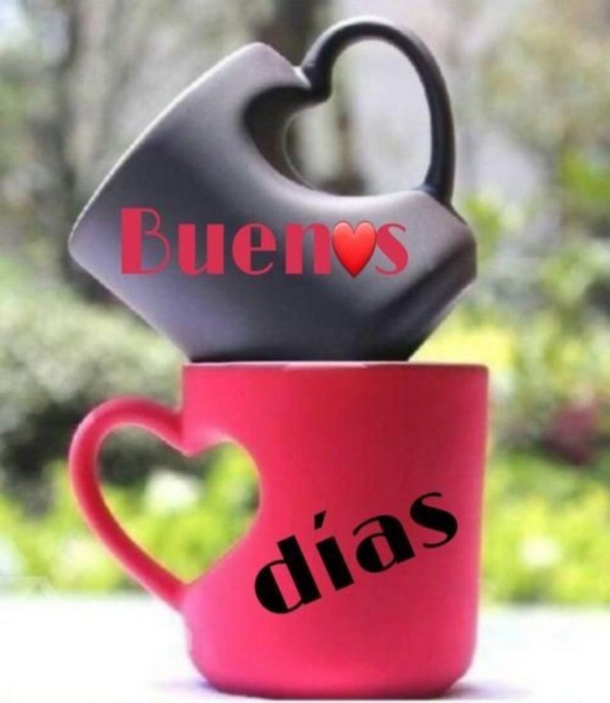 Hermosas imágenes de Buenos Días 9