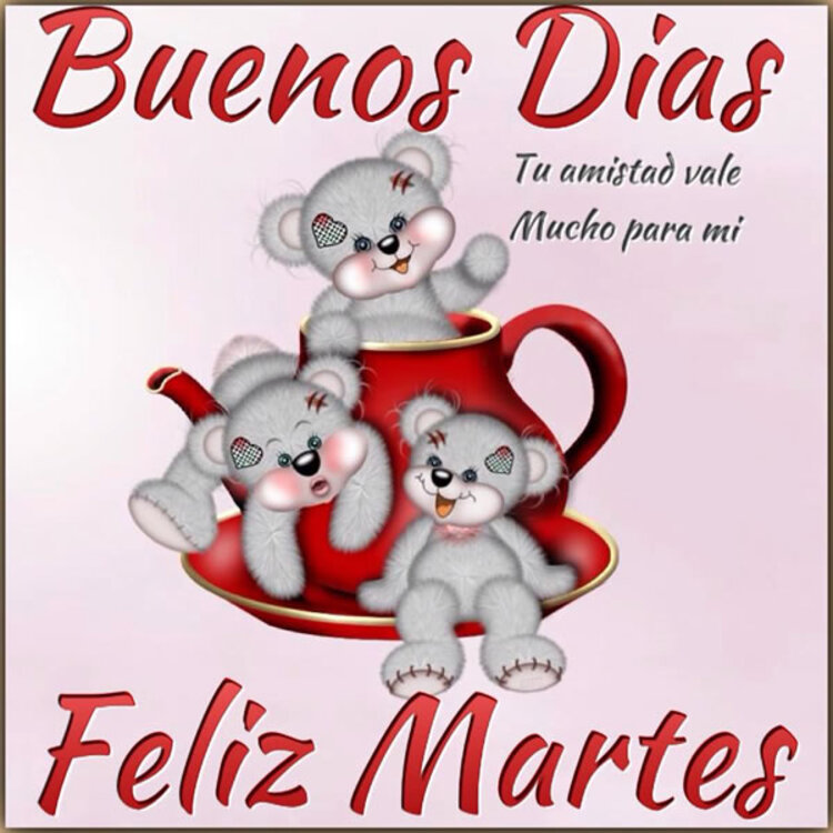 Hermosas imágenes y frases Buenos Días Feliz Martes amigos 10